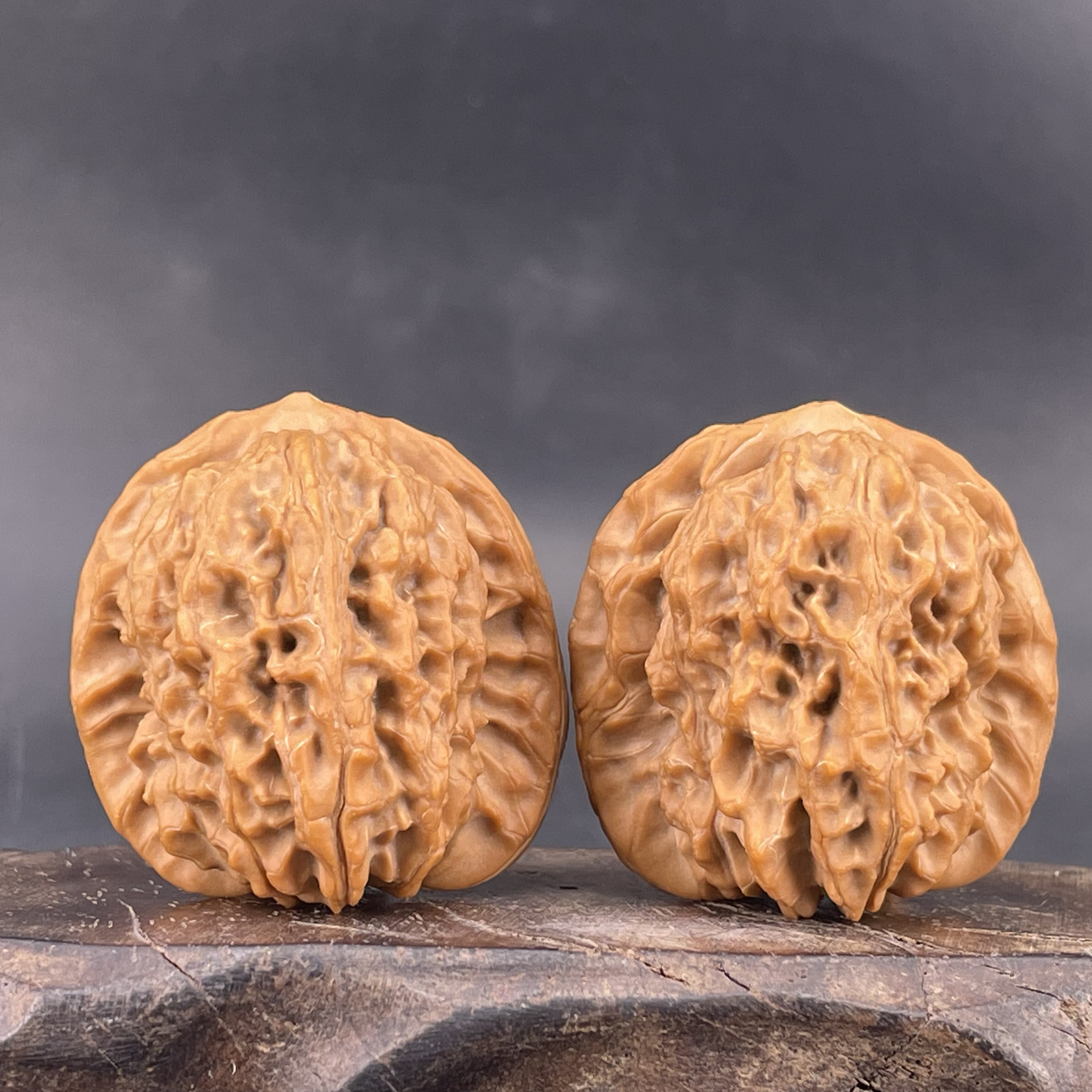 核桃表妹非嫁接马老四狮子头