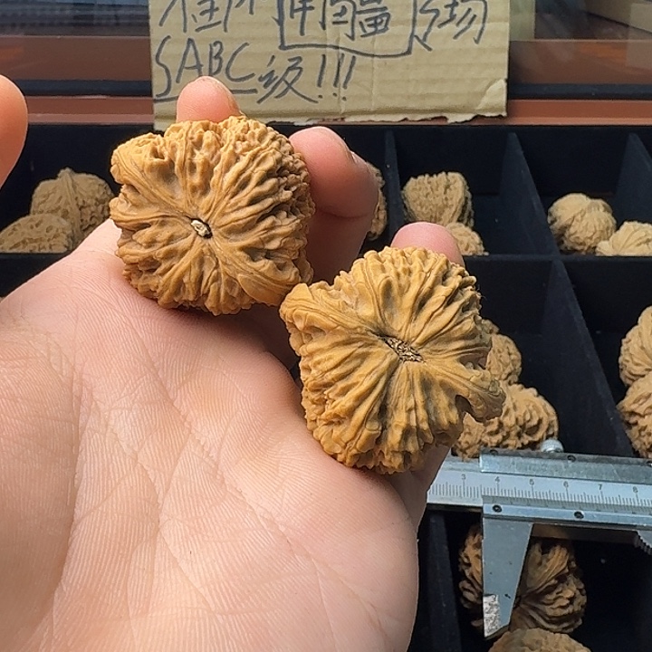 大叶紫檀（黑酸枝木类）