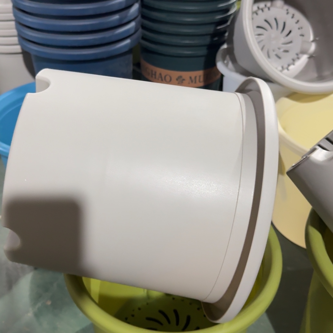 微瑕6号无拖灰白10个