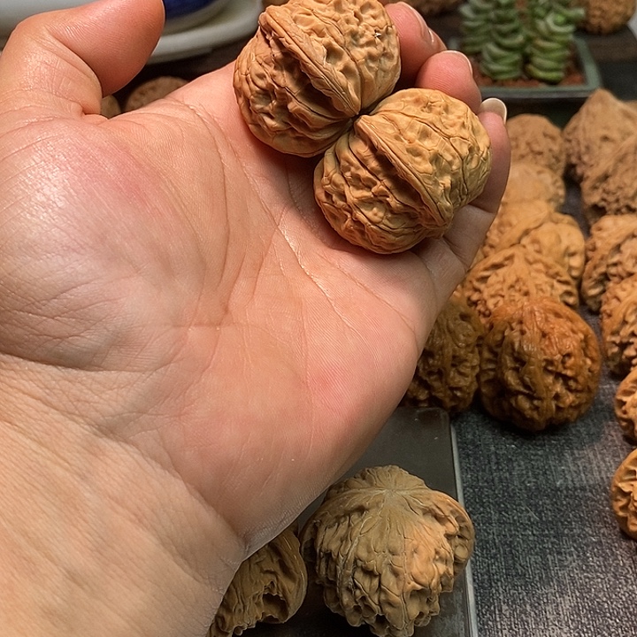 3***子核桃43全品无修无药磨