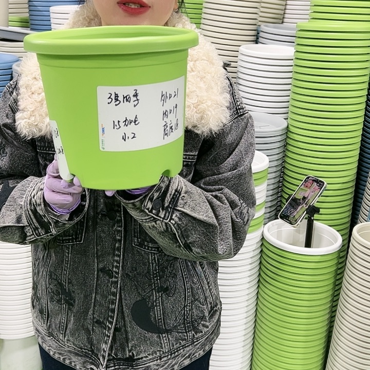 特价3号口21高18果绿色10只无托