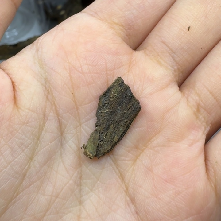 「***」楠木奇楠天然皮油