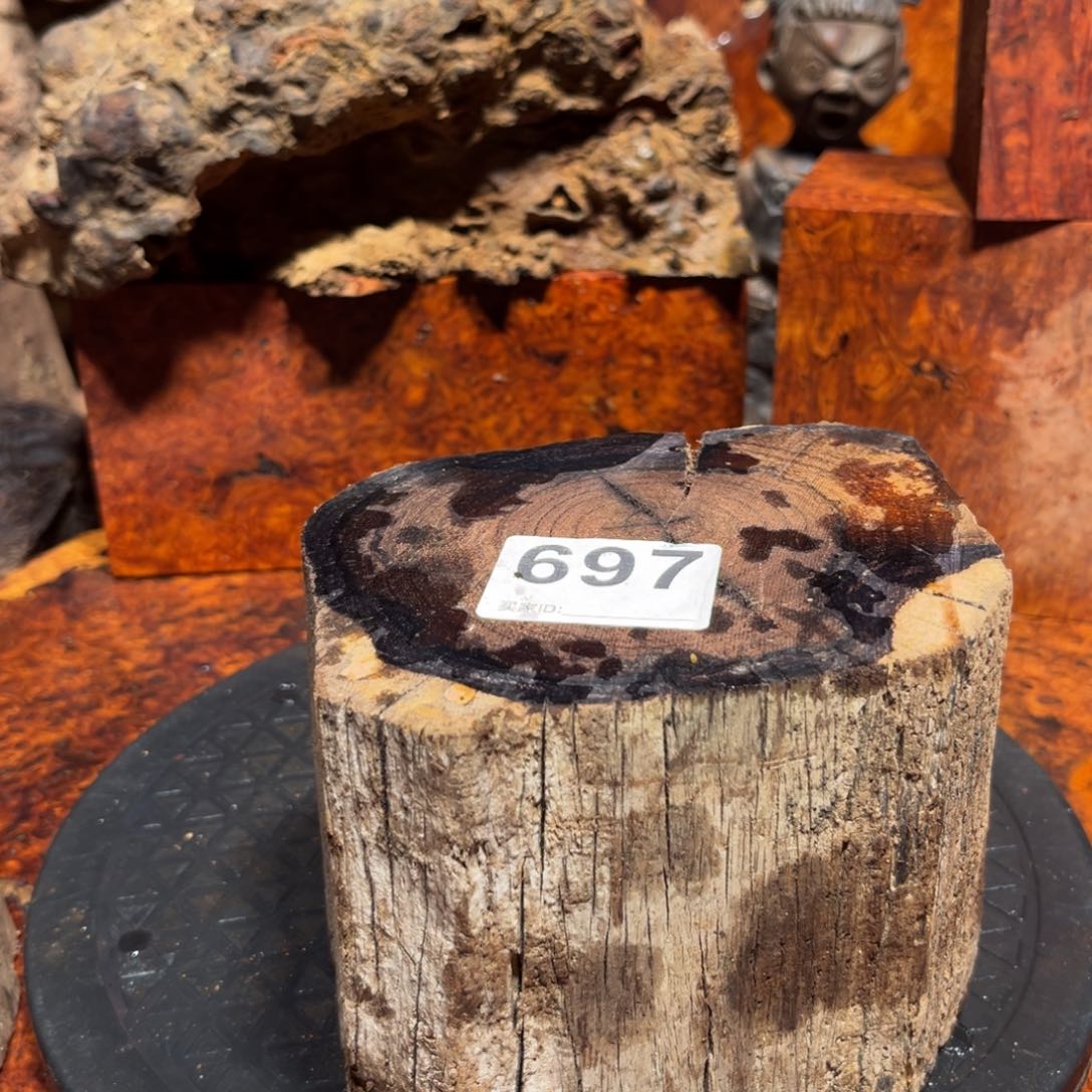 大果紫檀（缅甸花梨）