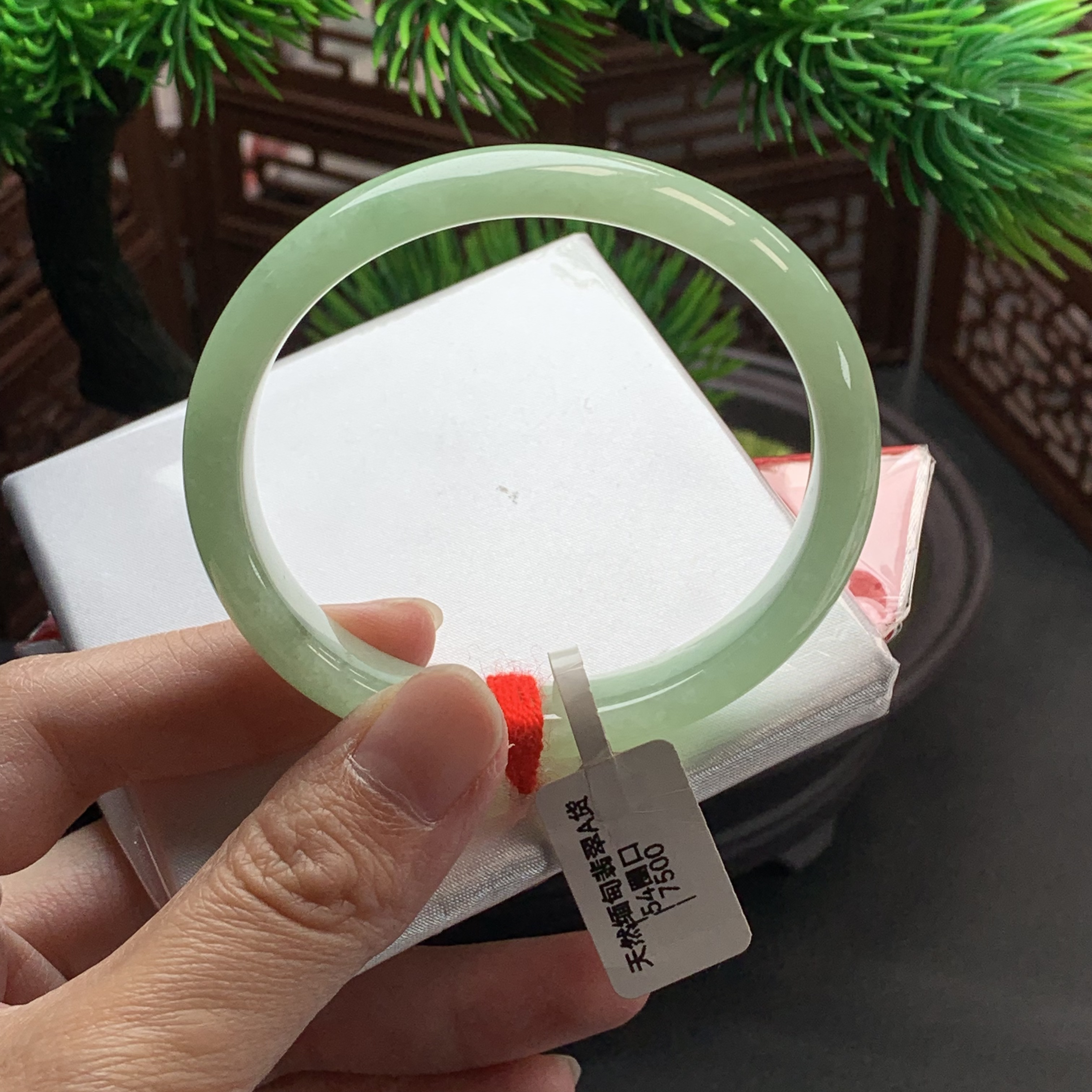 54贵妃天然缅甸翡翠A货手镯糯化种水满色冰胶苹果绿正圈