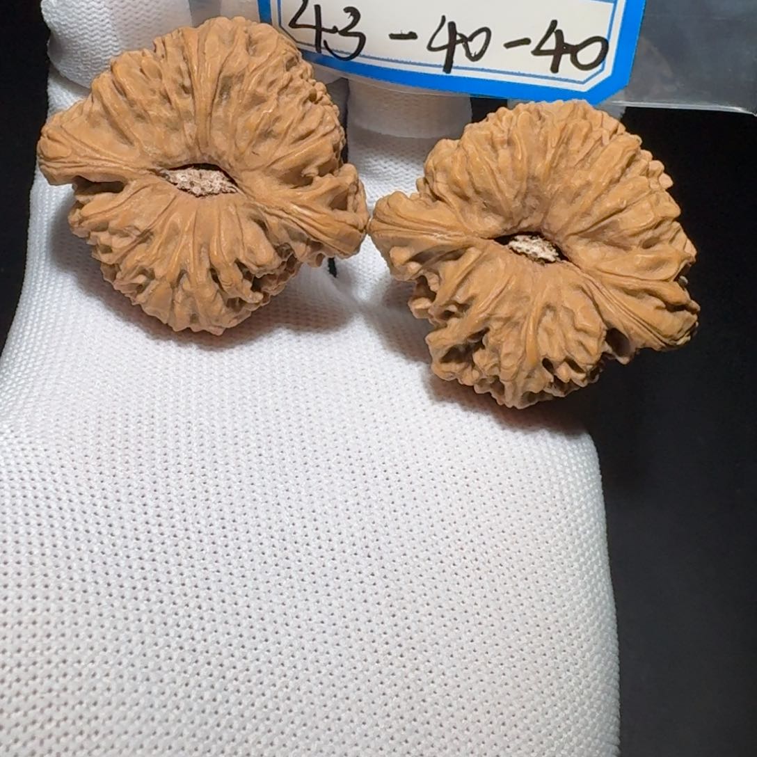文玩核桃把件1号南疆