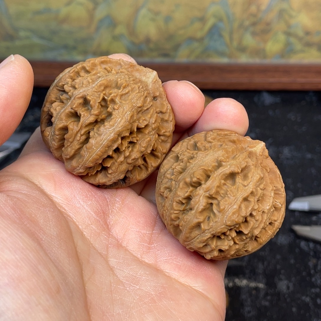 核桃7号链接777777