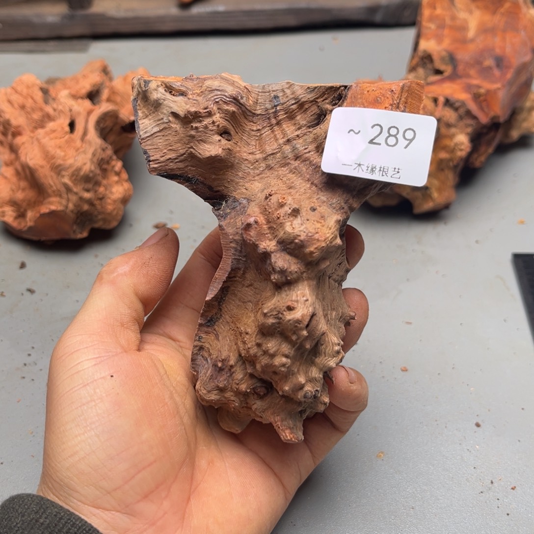 胡***耳无花朵0000000289