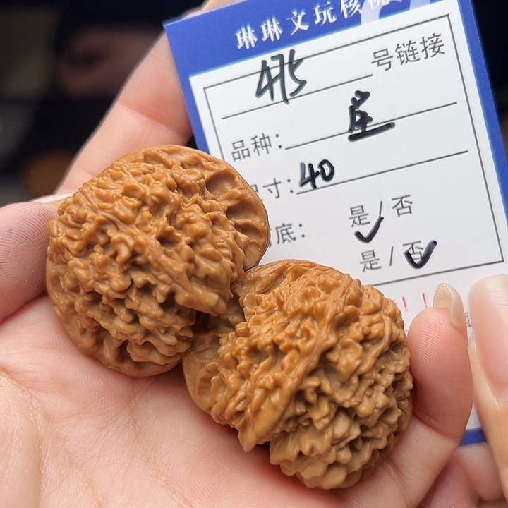 文玩核桃吊坠核桃树475