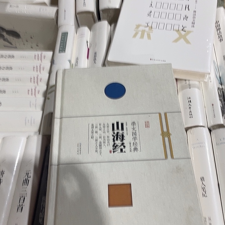 正版微瑕精装山海经