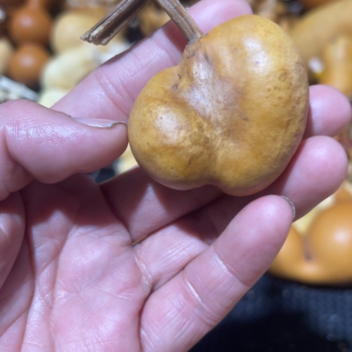 梨****葫芦葫哈哈哈哈哈哈