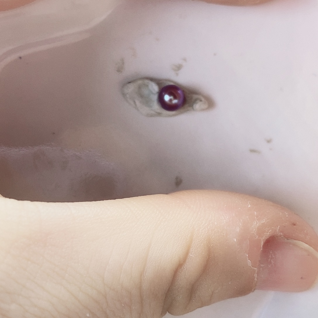 妮***^淡水珍珠耳饰未镶嵌