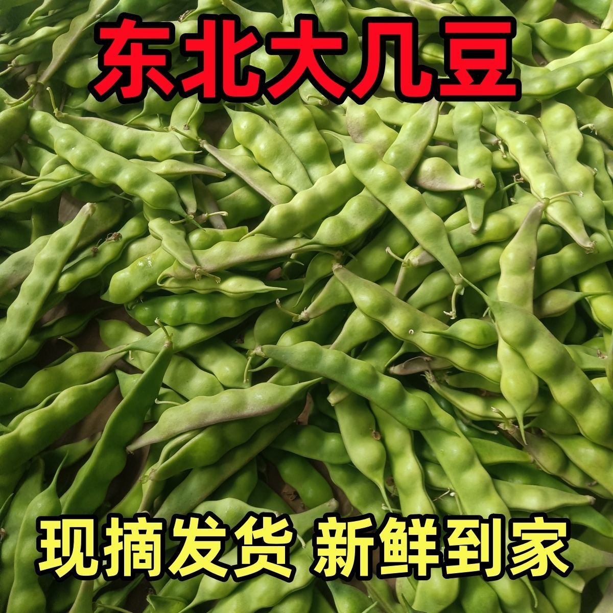【东北油豆角】新鲜现摘无筋不柴当季蔬菜油豆角几豆农家种植开锅烂
