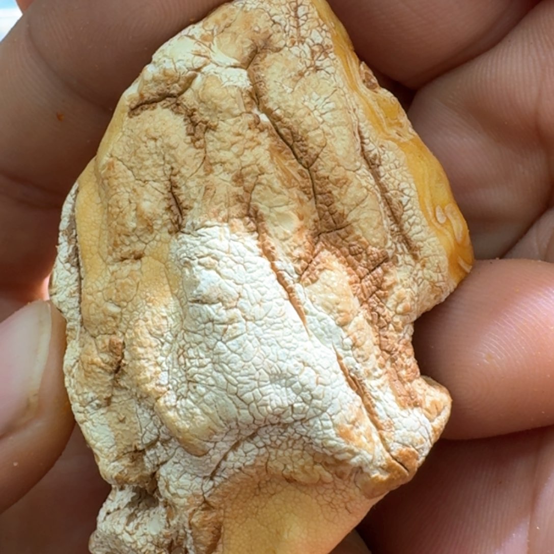 定制琥珀未镶嵌专拍