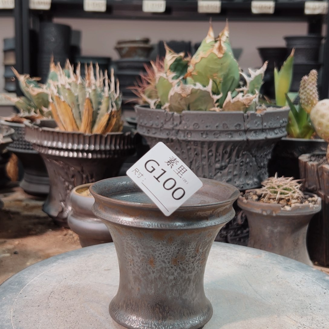 景德镇手工素里内口10高9.5