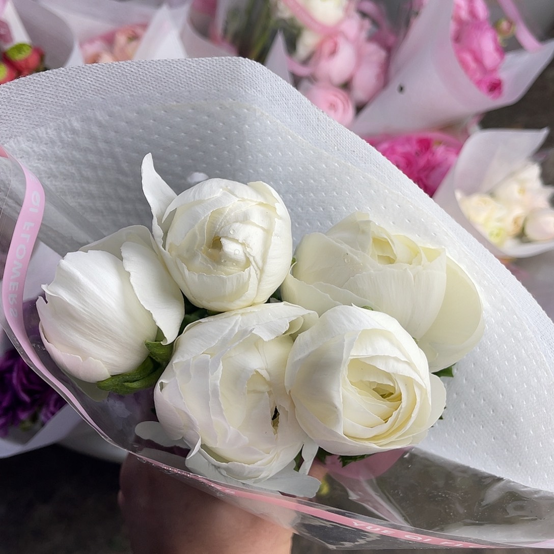 完全开放月琪（婚礼）5枝