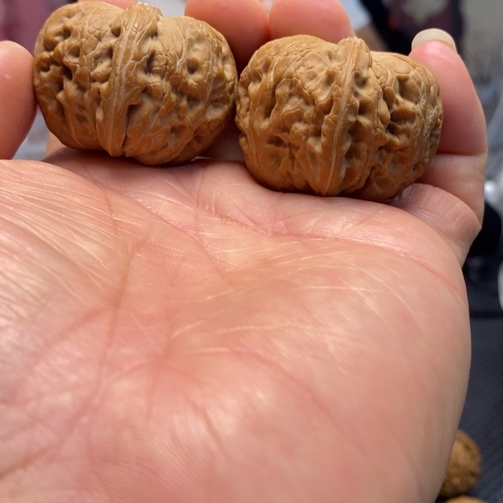 小***顽文玩核桃吊坠元宝42全品