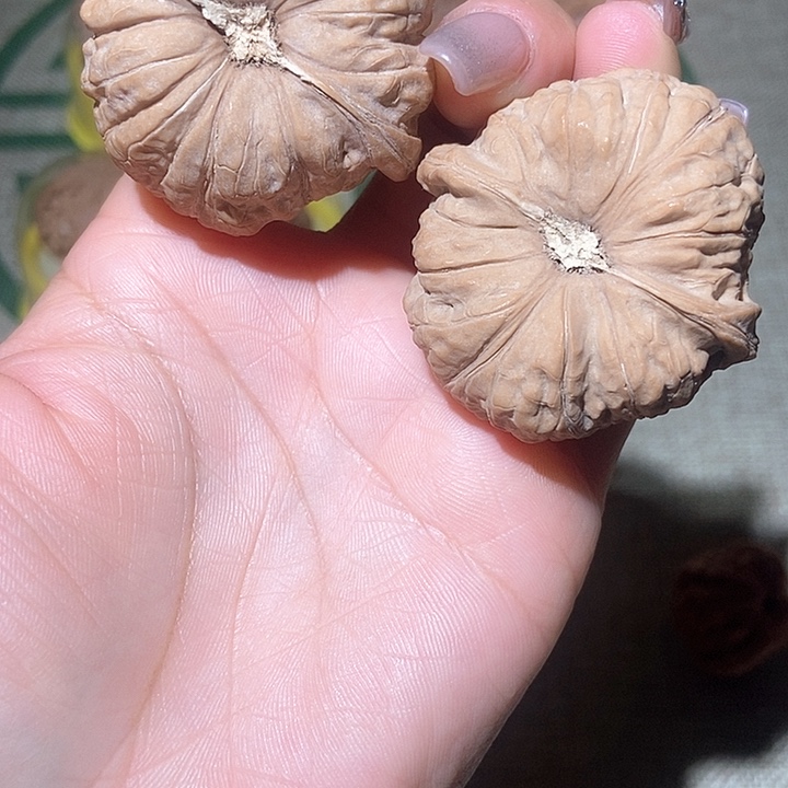 46尺寸全品南瓜墩！好运连连