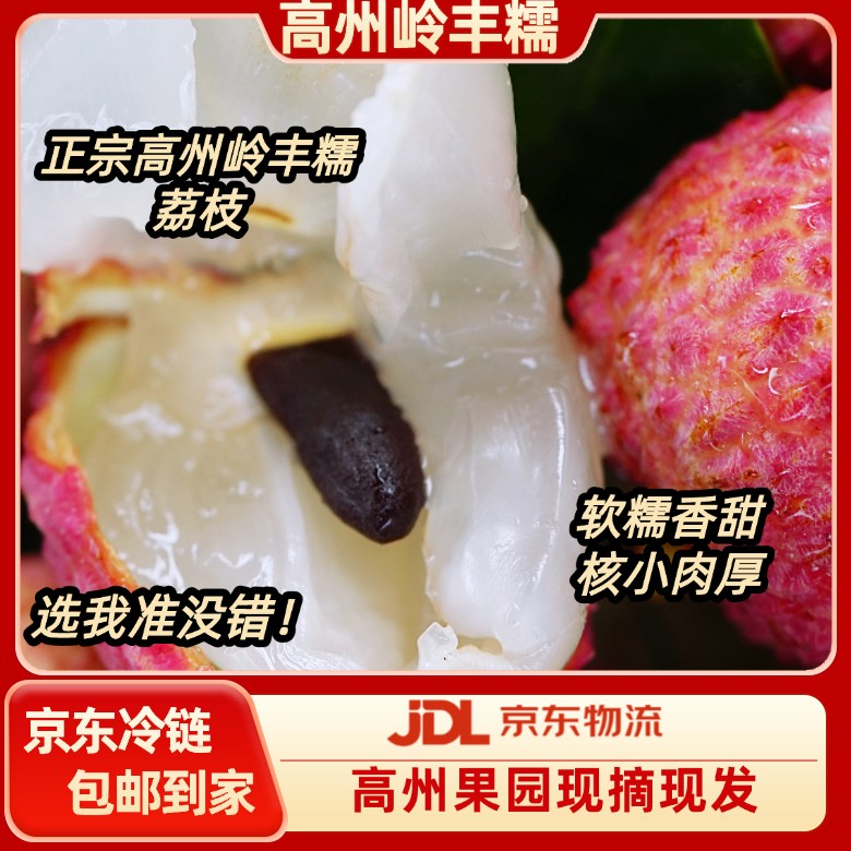 岭丰糯【广东省内包邮】茂名高州荔枝清甜多汁当季新鲜水果现采现摘