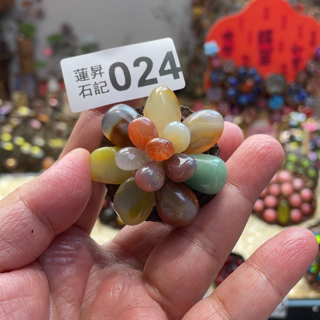 核桃木/黑胡桃（胡桃木）024