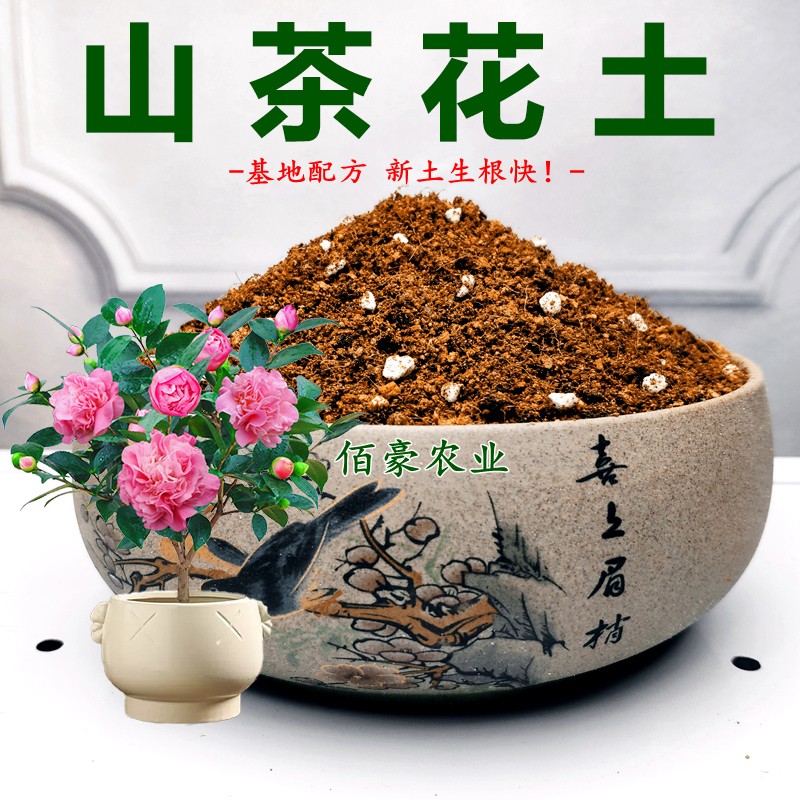 佰豪营养土茶花土专用土养花通用型培植土绿植有机家庭茶花专用土