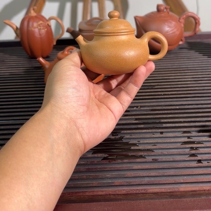 落***秋茶壶紫砂容天破价