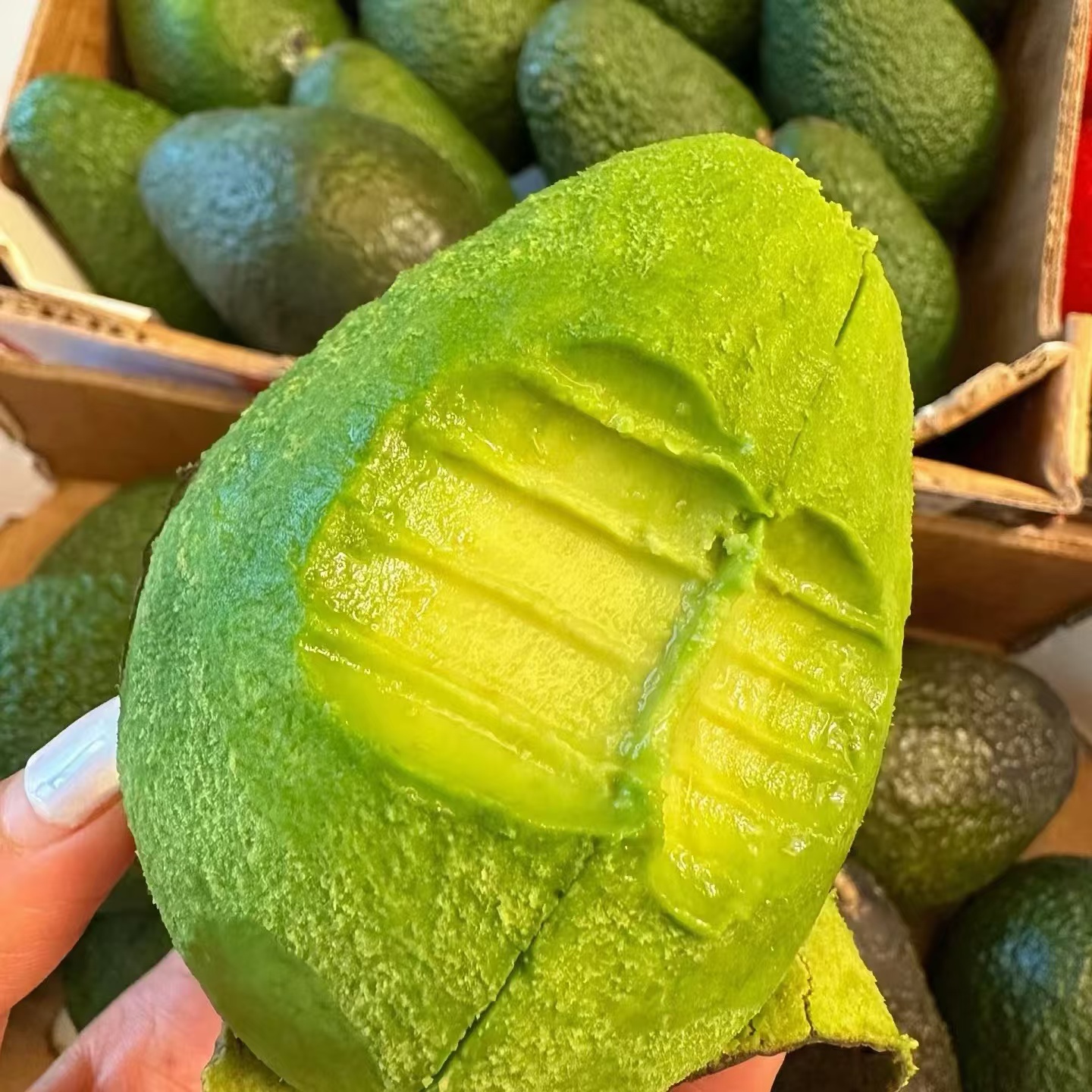 （催熟食用）秘鲁牛油果新鲜水果10颗单果100g+（送芥末酱油包）