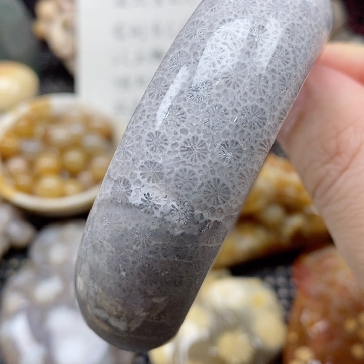 硅化珊瑚（珊瑚玉）颈饰未镶嵌57