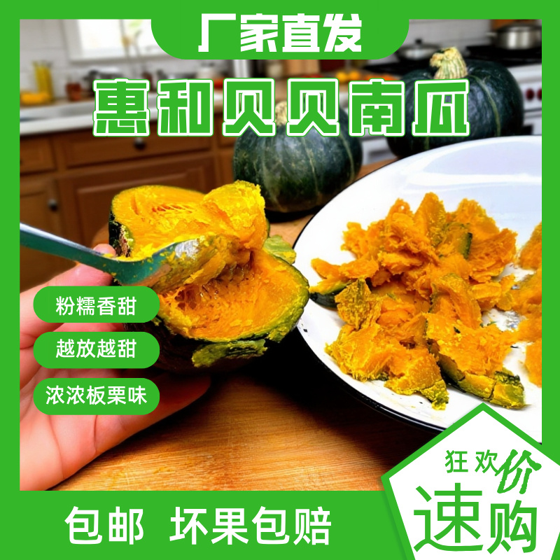 【挑食宝宝追着吃】惠和一号贝贝南瓜粉糯香甜、真贝贝南瓜