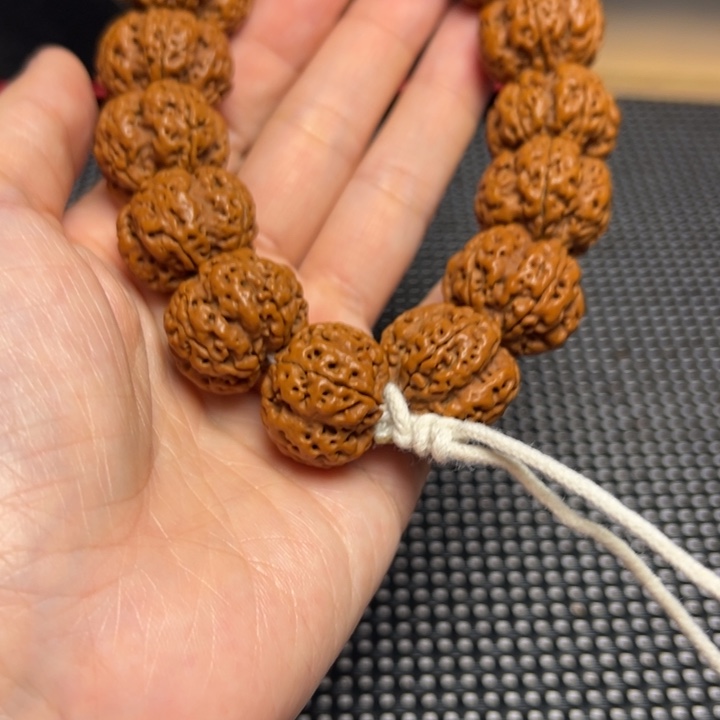 手串金刚菩提飞碟帝王花