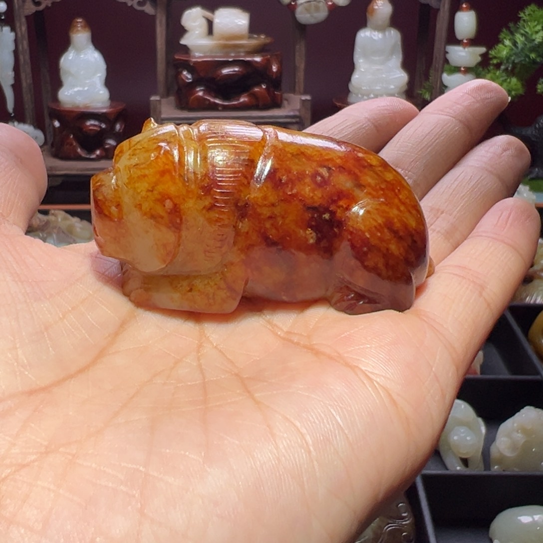 缸一物一图 所见所得