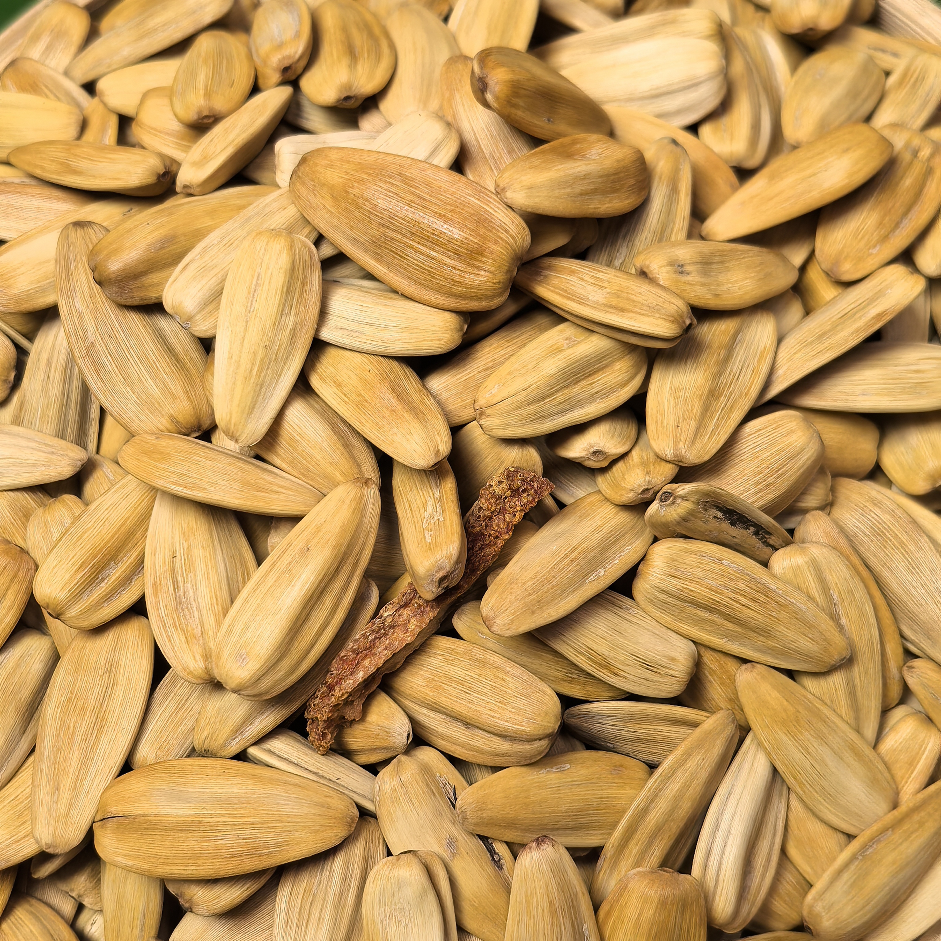 大颗粒陈皮瓜子 甜橙橘子味瓜子炒货 休闲零食