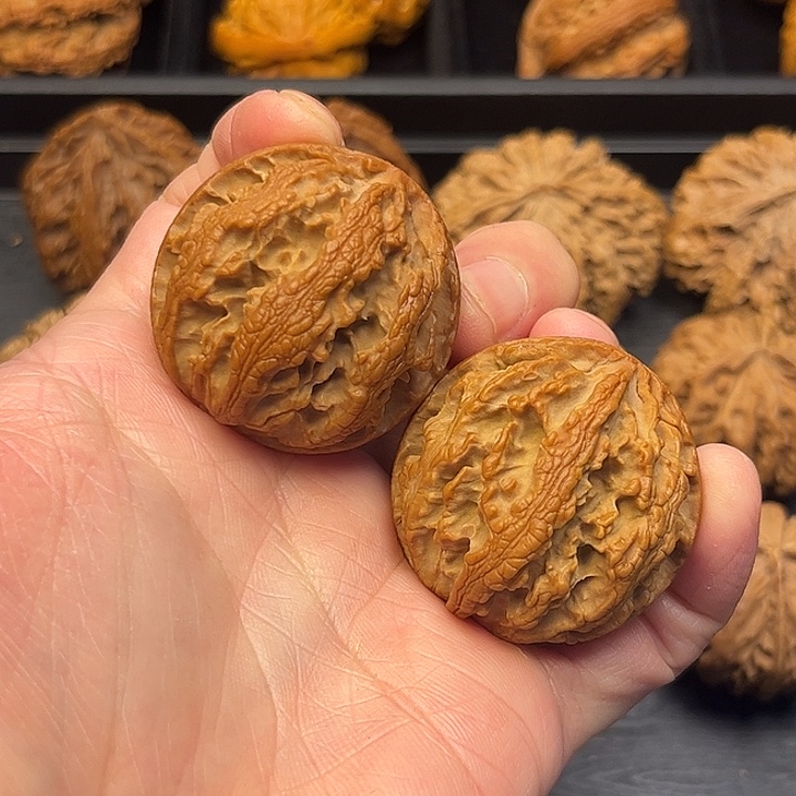 大叶紫檀（黑酸枝木类）