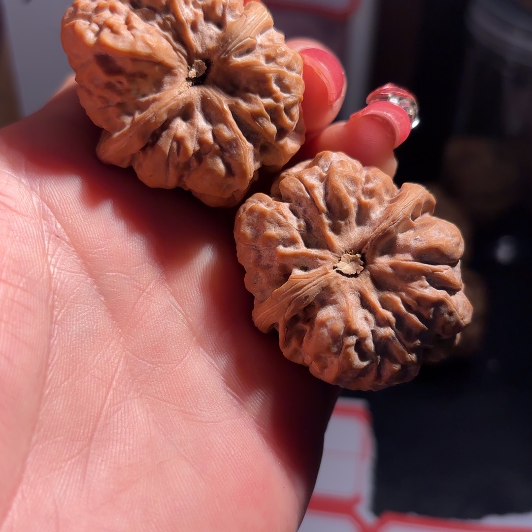 左***盾桃木三角蛙36尺边微修四开背
