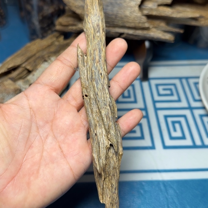 木质绿奇陆河树心油21克
