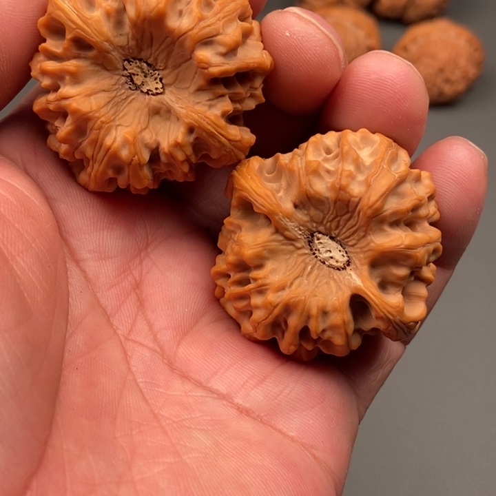 大***哥吊坠桃核核桃树和核桃纹理