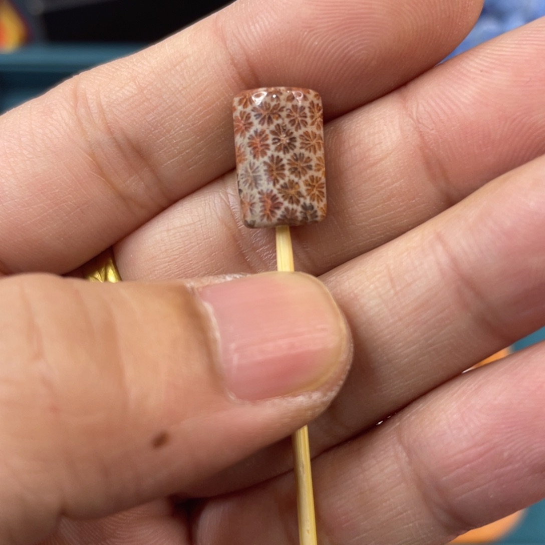 未镶嵌手镯硅化玉