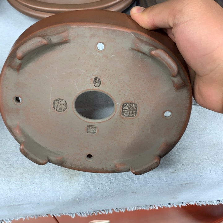 紫砂花盆正*紫砂花盆