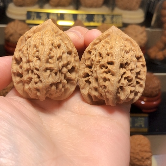 精品：野生观音肚