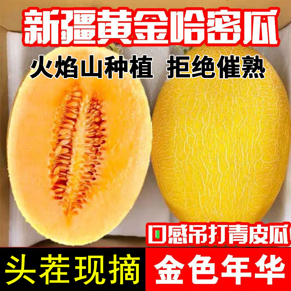 【顺丰/京东新疆直发】火焰山金色年华黄金哈密瓜应季水果现摘现发