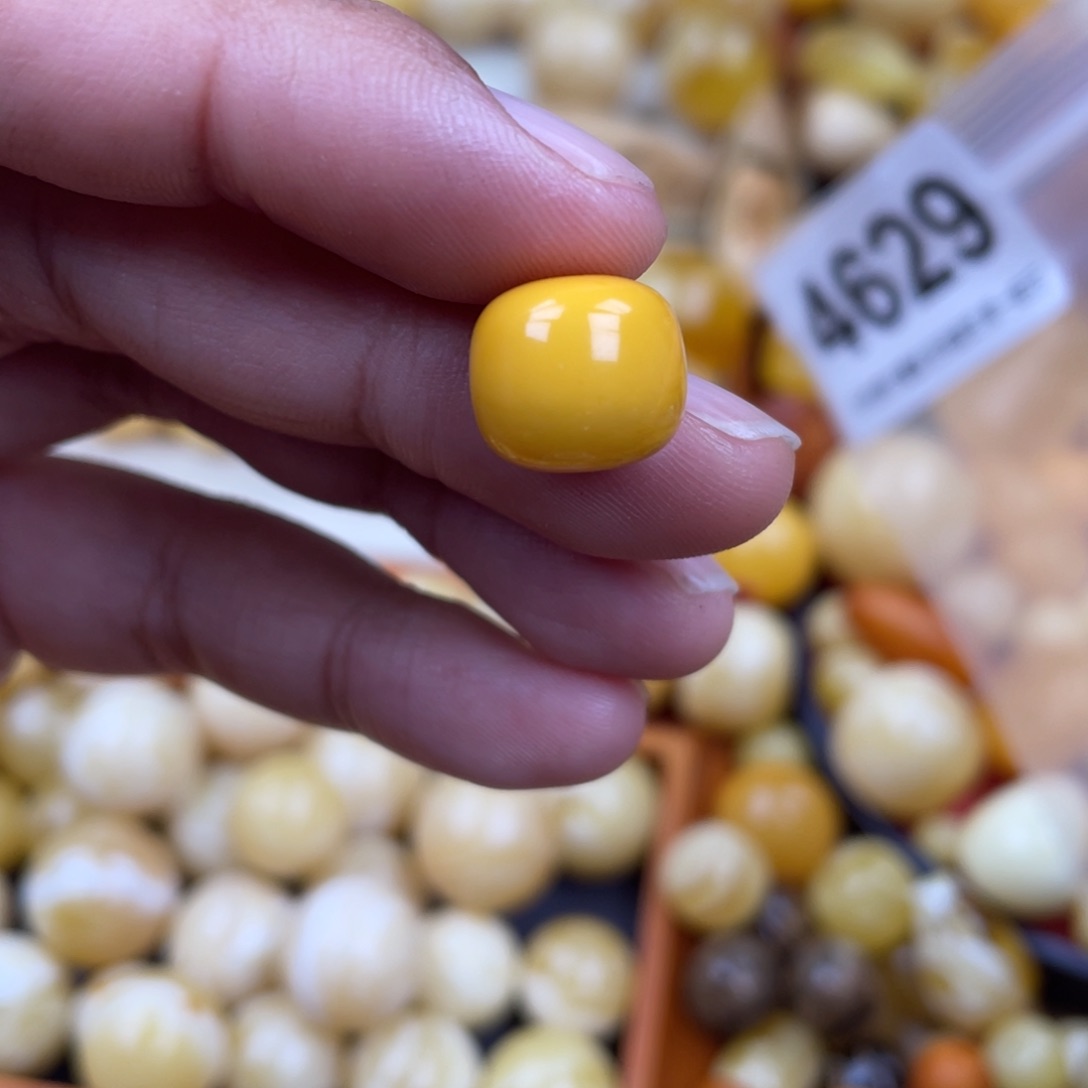 未镶嵌蜜蜡珠宝奇石12.3