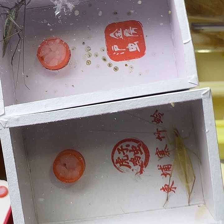 水***用哈哈哈哈哈哈哈哈哈哈哈