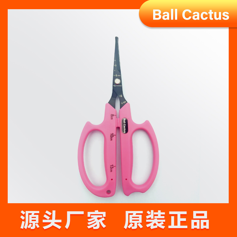 弦昇农业圆头BallCactus剪刀仙人球剪刀葡萄疏花梳花稀果买一送一