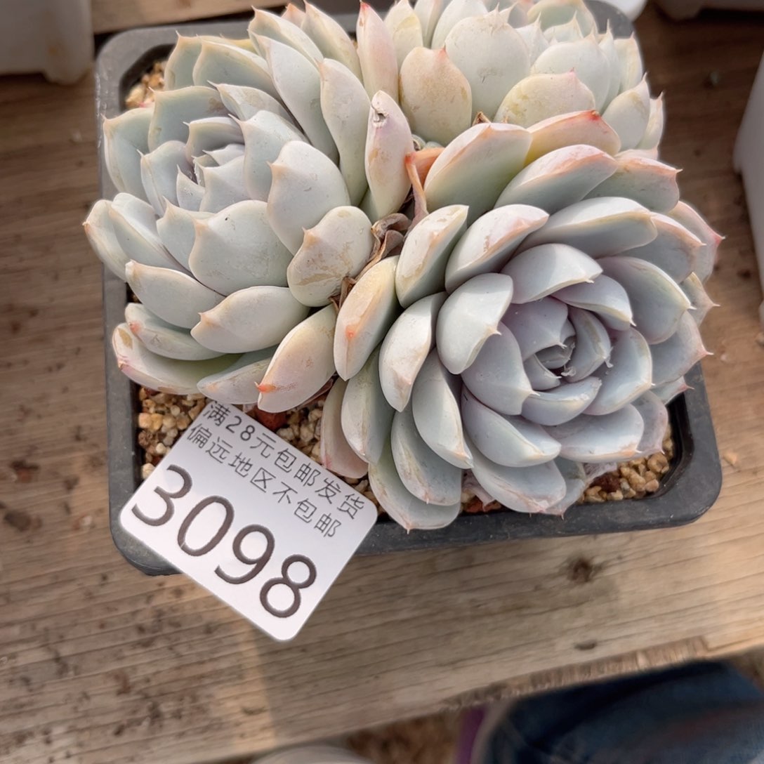 大3098（b d h c b v h j