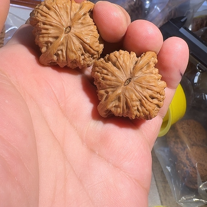 文玩核桃吊坠野生