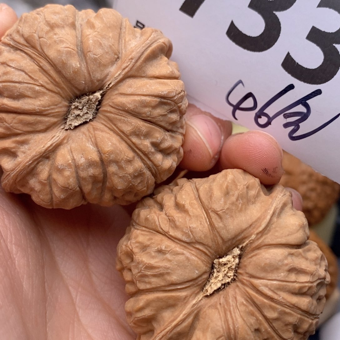 文玩核桃把件733号46全瓜