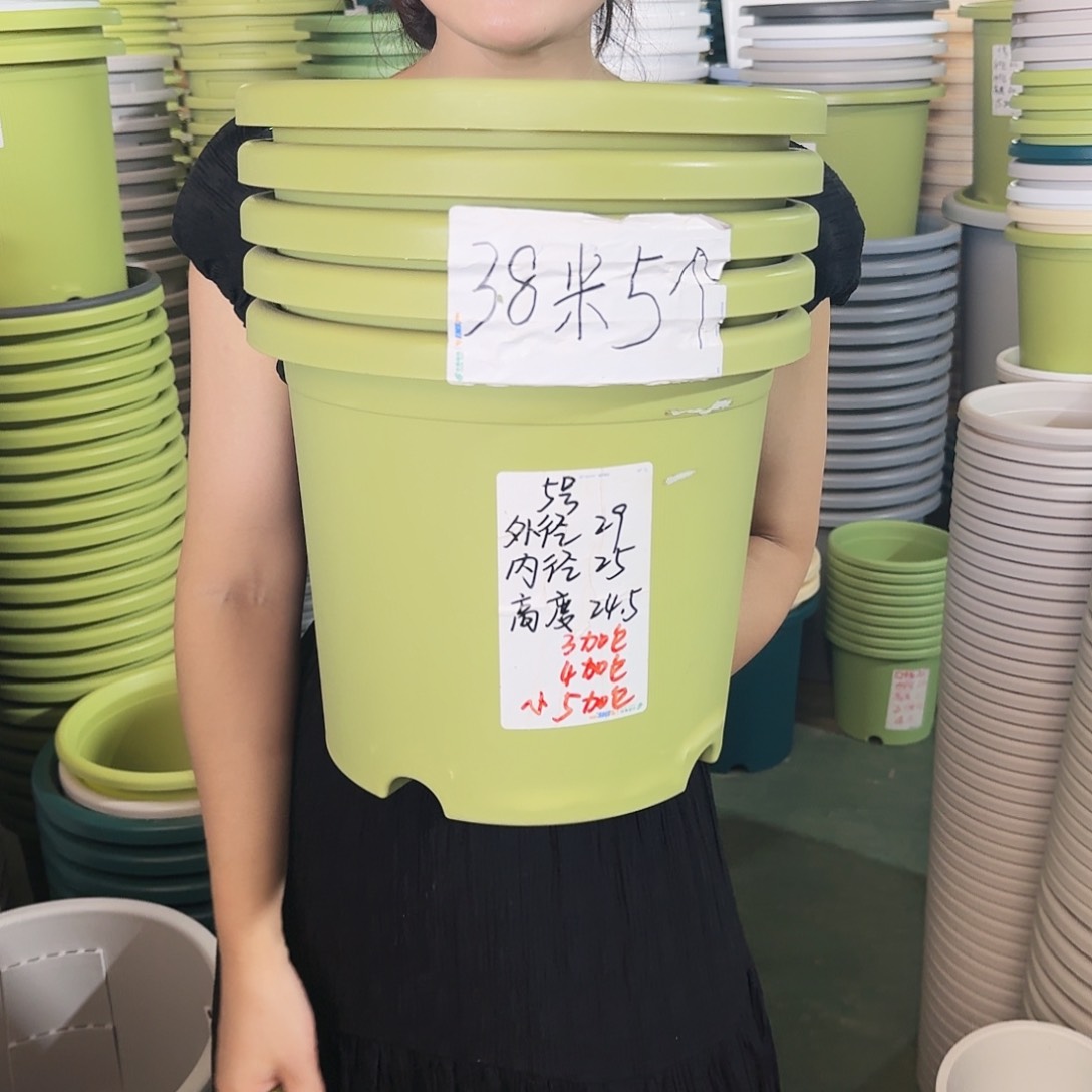 口径29高25微瑕果绿无拖5个