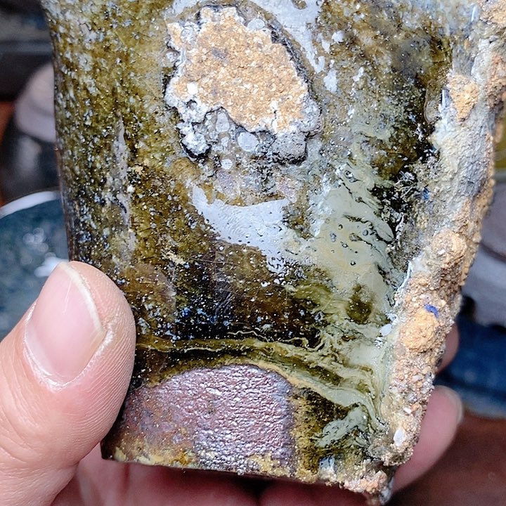 茶盏臻**轩009g h j jb v g h