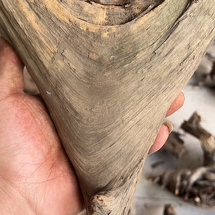 大叶紫檀（黑酸枝木类）南*