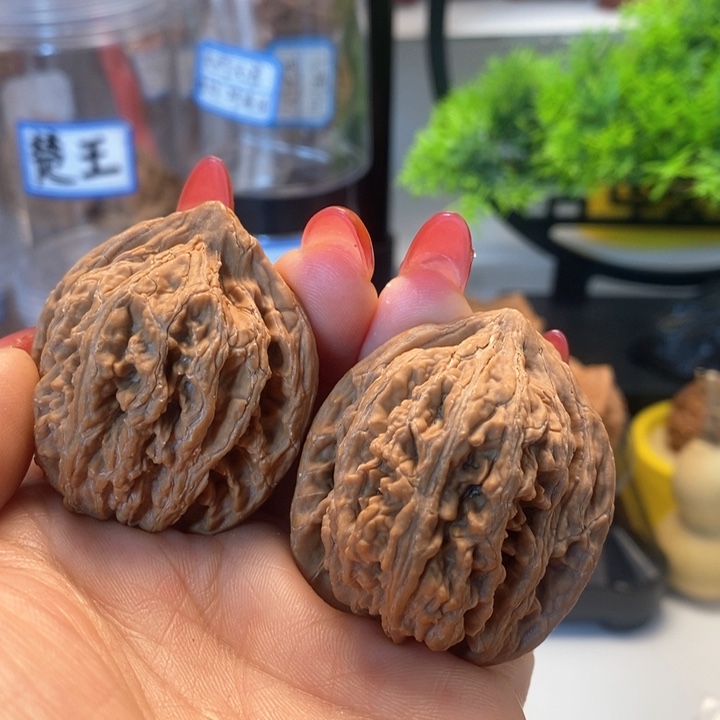 文玩核桃把件九龙筋