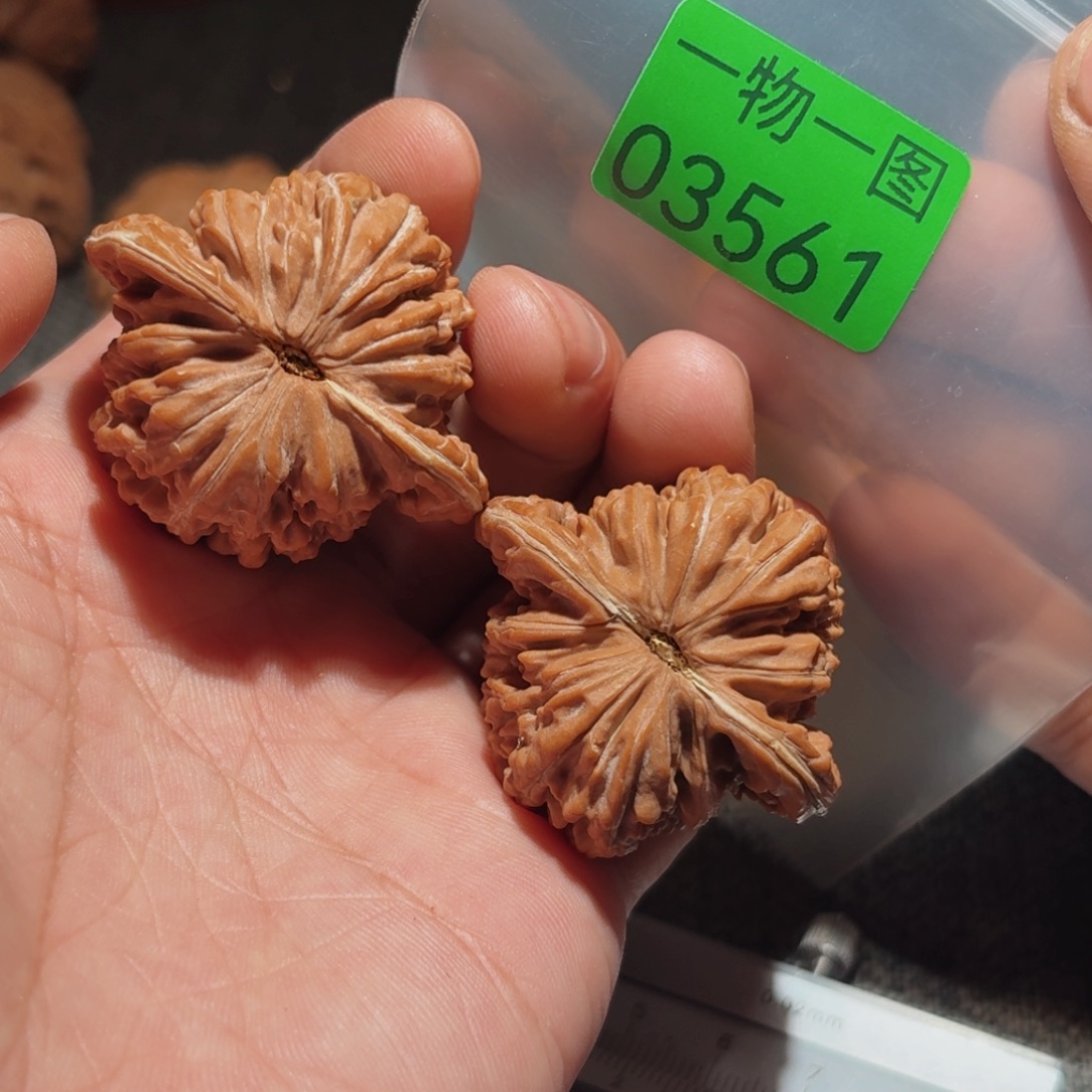 文玩核桃把件蓟县楼